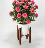 Mid-Century Modern Wooden Plant Stand, Brown, Retro Style, for Indoor Potted Plants - Image 4