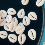 Elegant White Kaudi Shell Beads Kit for DIY Crafts & Jewelry