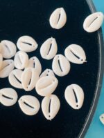 Elegant White Kaudi Shell Beads Kit for DIY Crafts & Jewelry