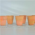Traditional Terracotta Clay Kulhad Cups for Tea (Set of 6)