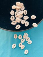 Elegant White Kaudi Shell Beads Kit for DIY Crafts & Jewelry - Image 2