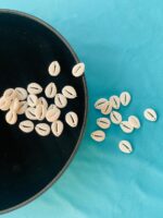 Elegant White Kaudi Shell Beads Kit for DIY Crafts & Jewelry - Image 4