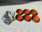 Bowls Set for Matka Kulfi and Desserts - Combo Pack of 6