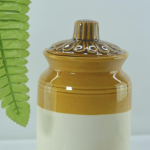 Classic Indian Ceramic Martaban